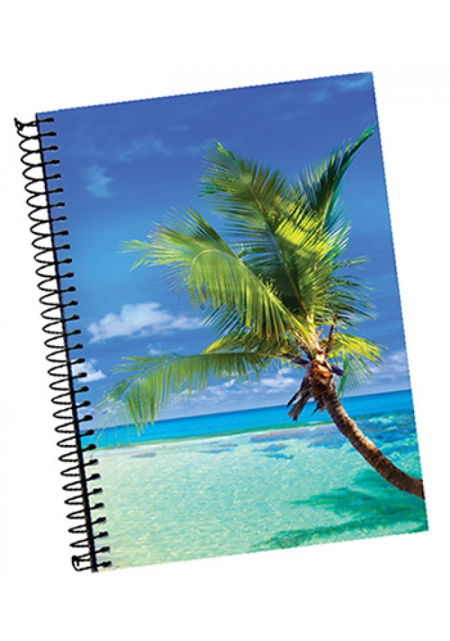 Caderno Espiral Credeal 10x96fls